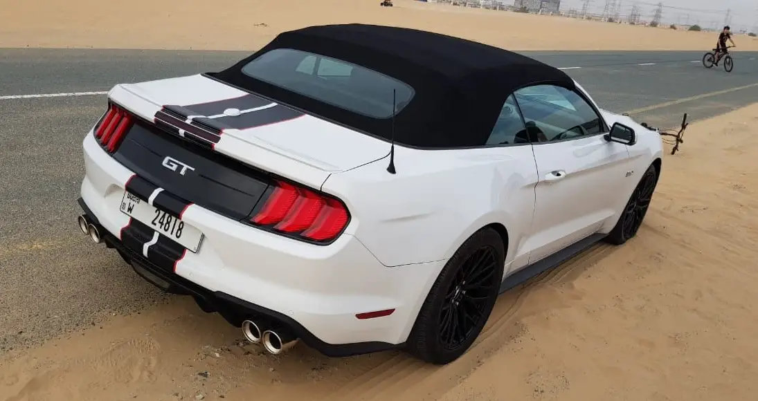 صورة 3 - فورد موستانج المكشوفة