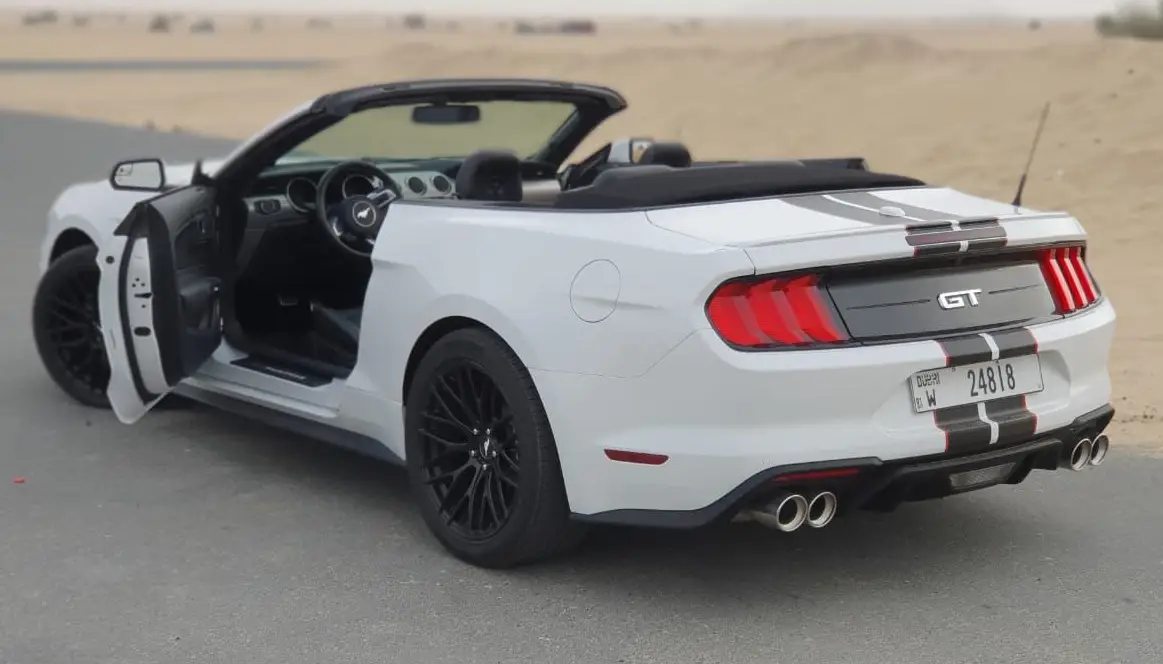 صورة 4 - فورد موستانج المكشوفة