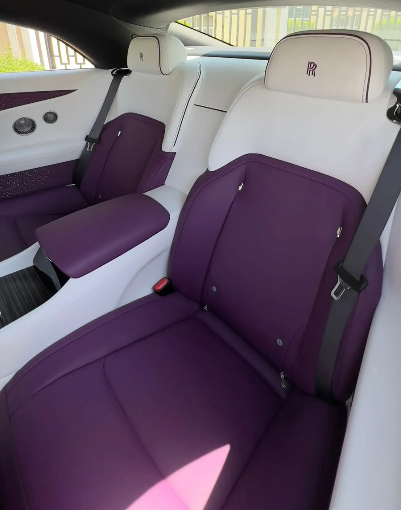 صورة 7 - رولز رويس سبيكتر